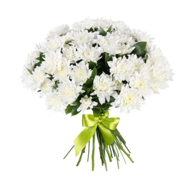 Букет «Белый ангел» – скульптурная чистота белых хризантем Видное Московская область