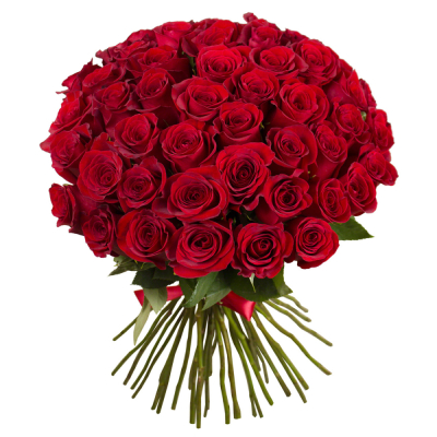 Букет «О, Шарман!» – 51 роскошная эквадорская роза Видное Московская область